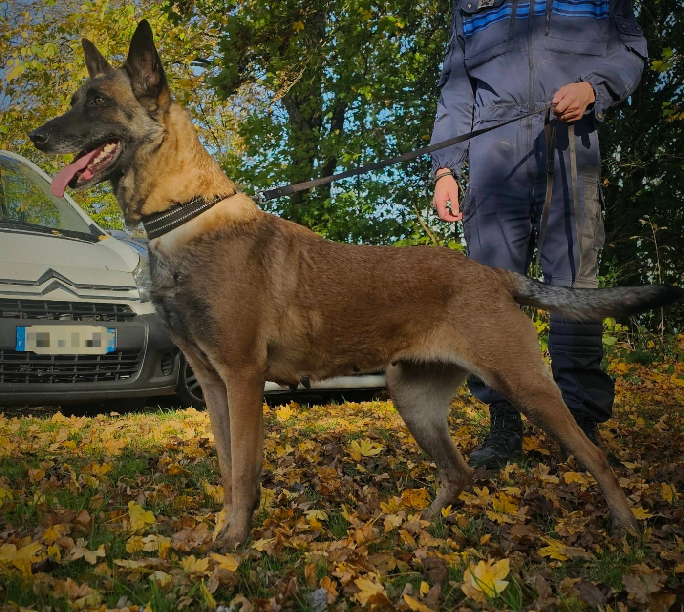 Thunder Tyah (Sans Affixe)